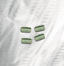 Rebuild kit for 20131A Adjuster Nut